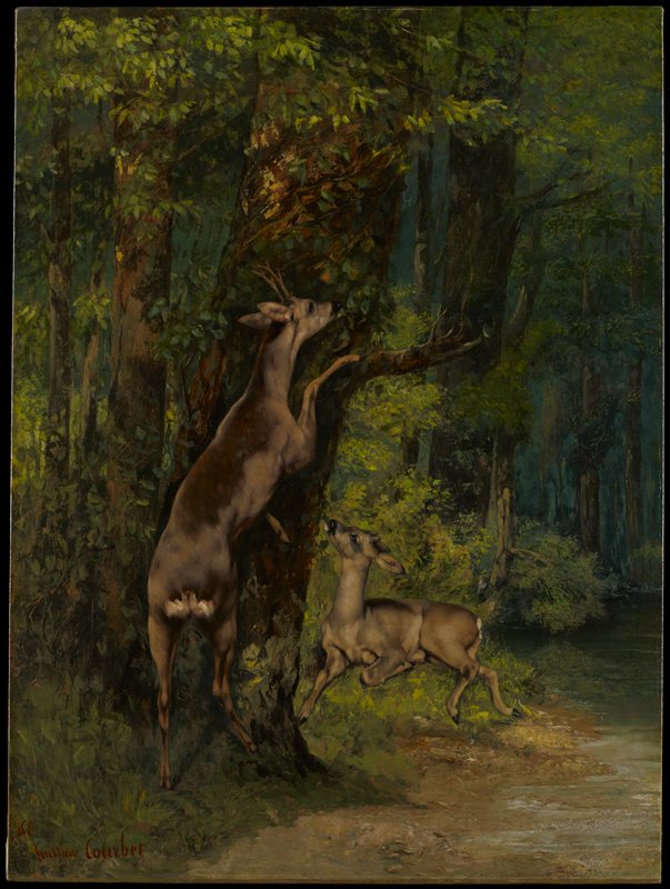 Deer in the Forest by Gustave Courbet