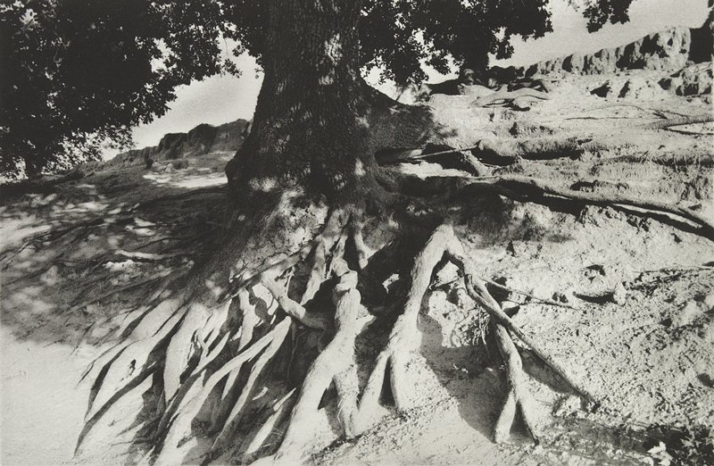 Roots-Montjustin, Alpes de Haute Provence, Мартине Франк, XX век