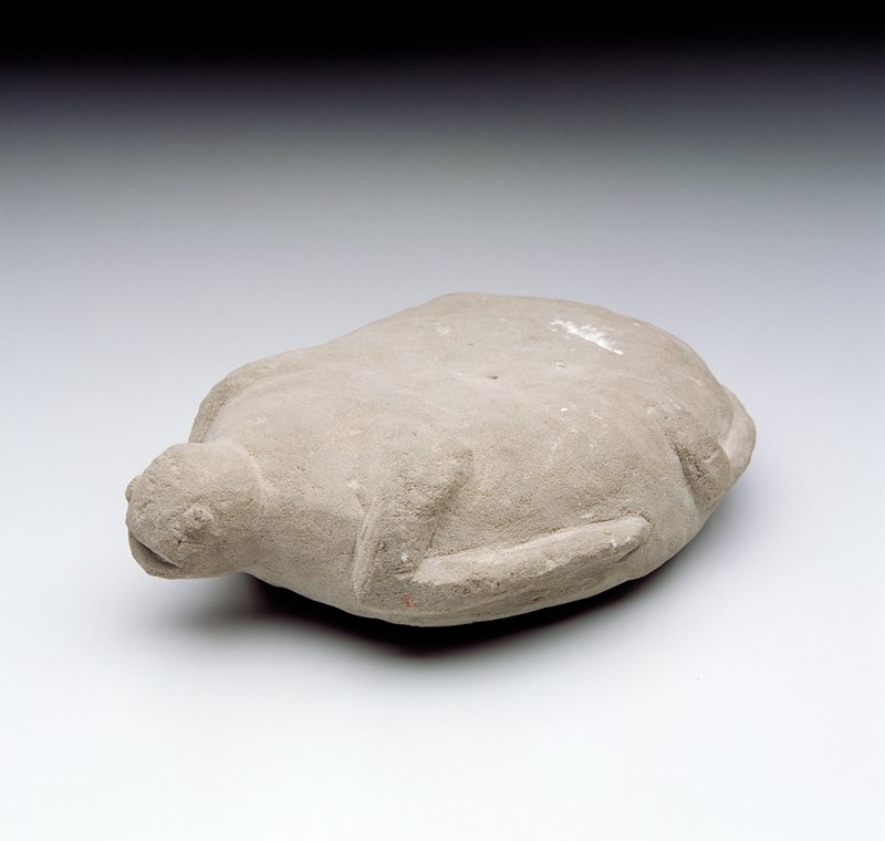 Turtle, Tahiti, 19th century