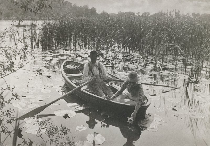 Gathering Waterlilies, Peter Henry Emerson, 1886