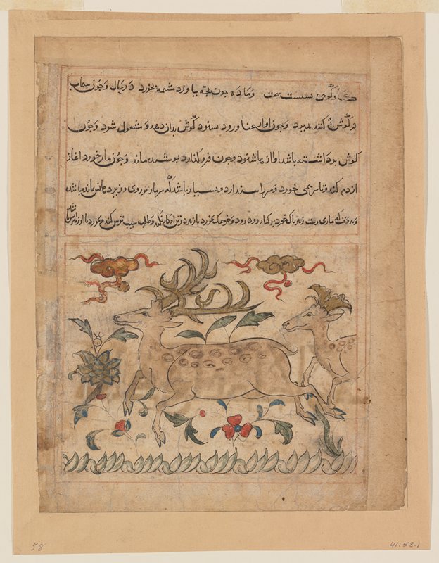 Page from the Manafi al-Hayavan, 14th century