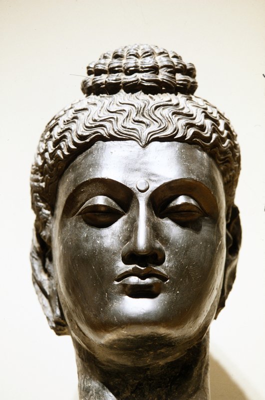 Head of Buddha, Kushan period, 1–299
