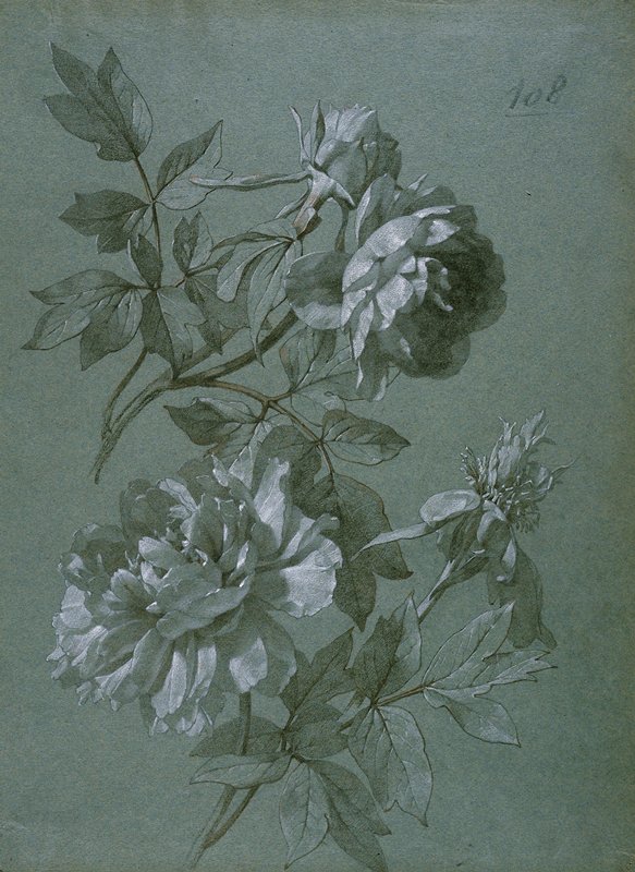 Peony, Possibly France, c. 1790–1810