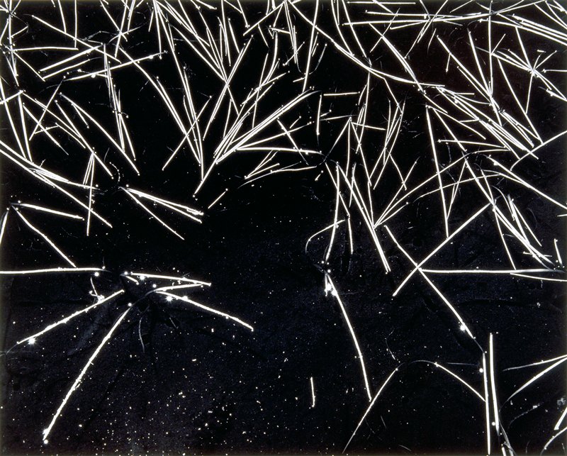 Grass and Pool, Ansel Adams, c. 1935