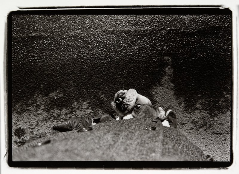 First Man on the Moon, Ramon J. Muxter, 1970