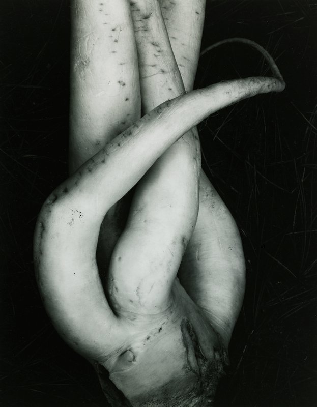 White Radish, Edward Weston, 1933