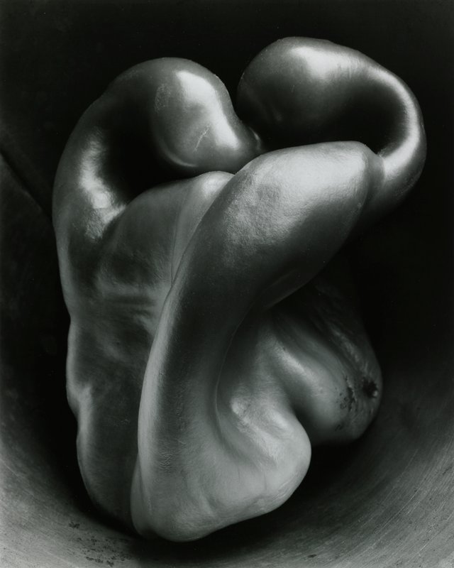 Pepper No. 30, Edward Weston, 1930