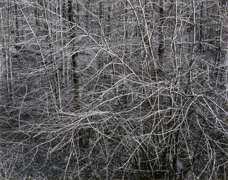 Untitled, John Bratnober, c. 1974