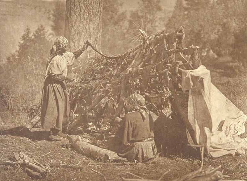 Drying Meat - Flathead, Edward S. Curtis, c. 1910