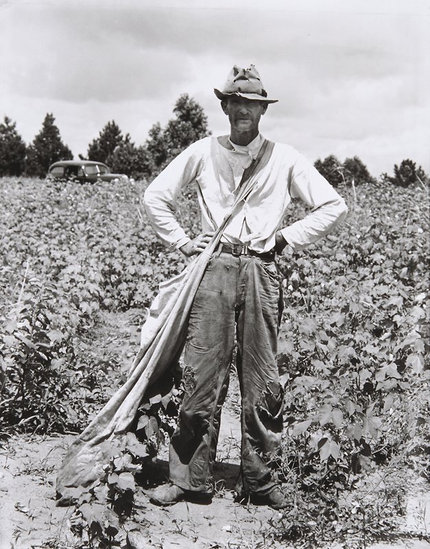 William Edward (Bud) Fields, Hale County, Alabama, Walker Evans, 1936