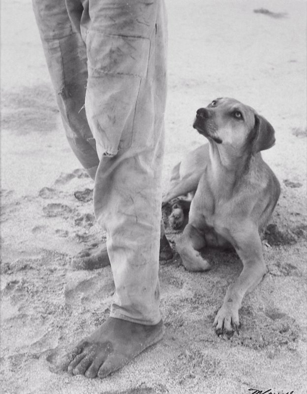 Perro viendo a su amo, Zihuatanejo, Manuel Carrillo, 1955–76