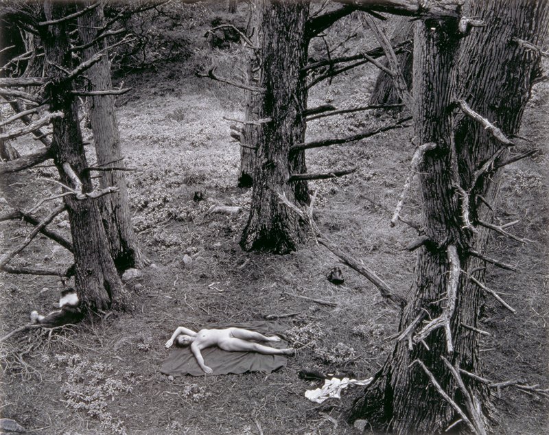 Woman and Dog in Forest, Wynn Bullock, 1953