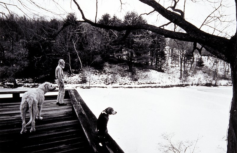 Edward Steichen, Connecticut, Overlooking Shad Blow Tree, Arnold H. Crane, 1969