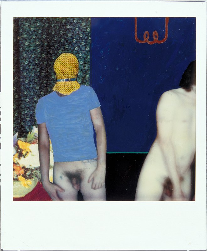 Mimosa, Bruce Charlesworth, 1978