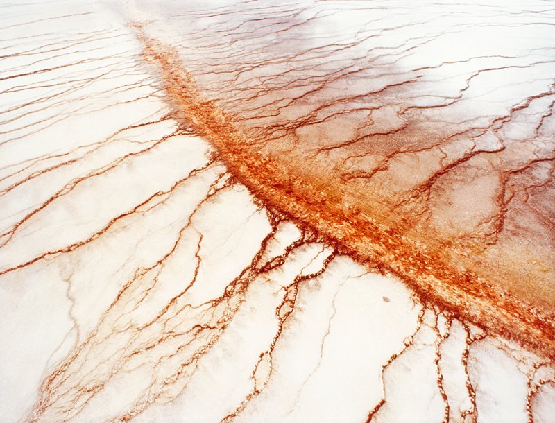 Line Formations, Yellowstone, Paul Chesley, 1977