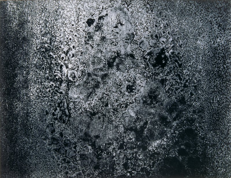 Charlestown 43, Carl Chiarenza, 1975