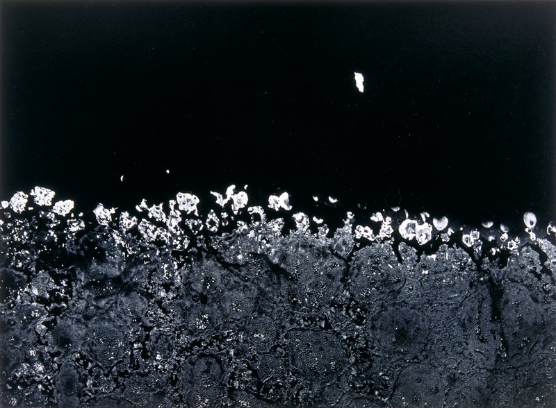 Charlestown 37, Carl Chiarenza, 1976