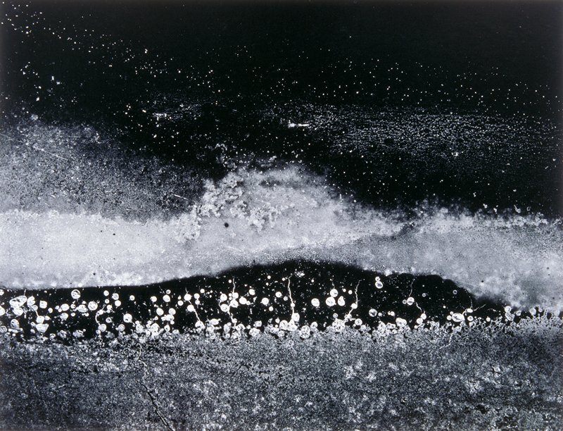 Charlestown 42, Carl Chiarenza, 1976