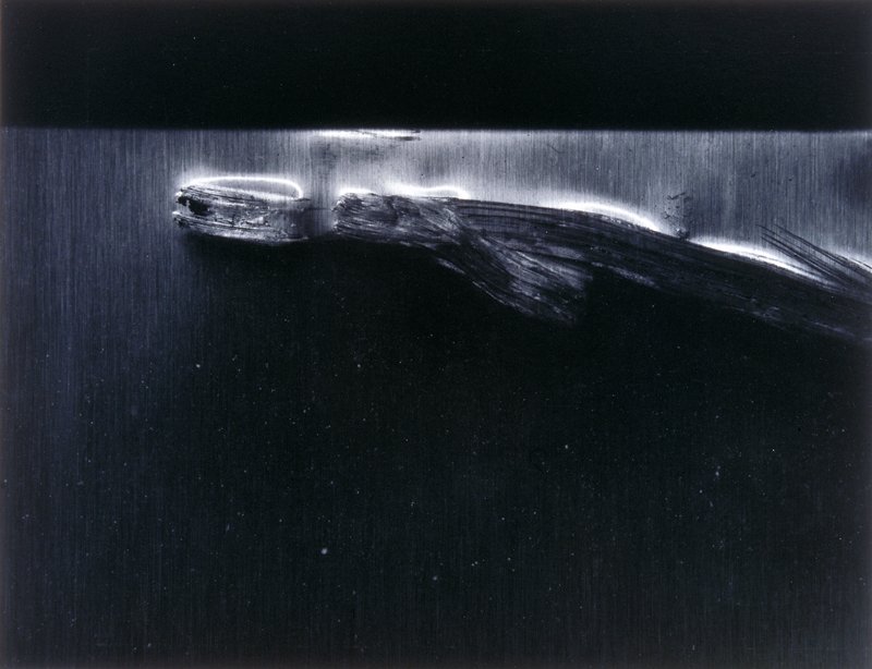 Somerville 21, Carl Chiarenza, 1976