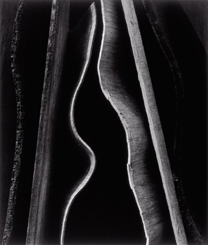 Rockland 2, Carl Chiarenza, 1979