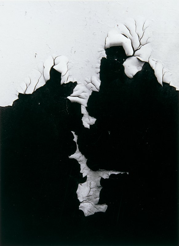 Michigan, Carl Chiarenza, 1958