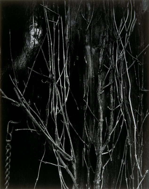 Bucks County, Carl Chiarenza, 1969–70