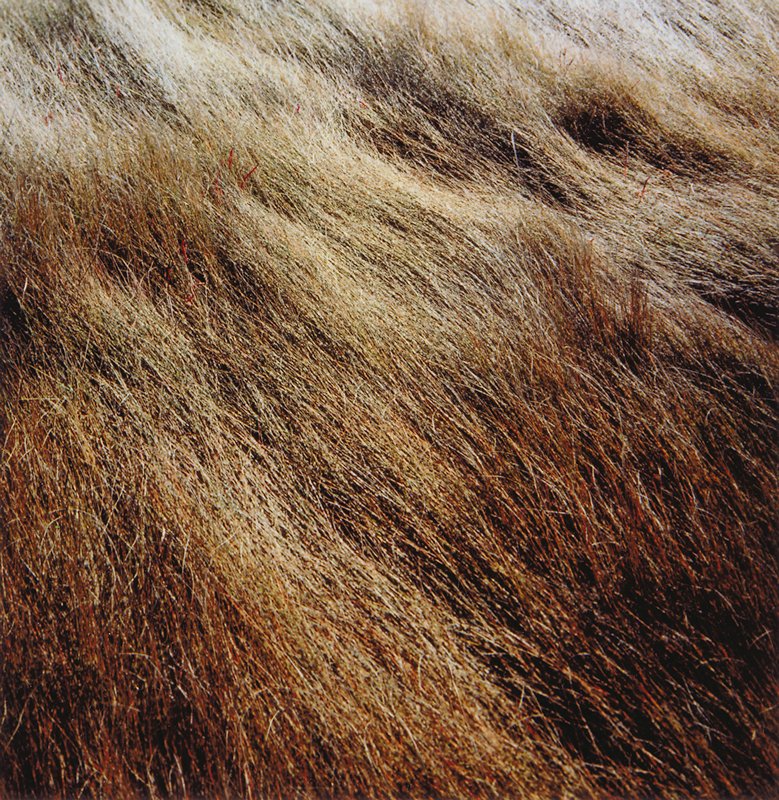 Horseneck Beach, Harry Callahan, c. 1971