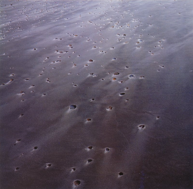 Horseneck Beach, Harry Callahan, 1978