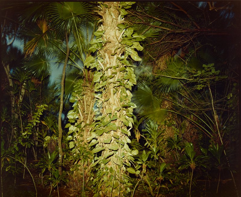Hawaii I, Richard Misrach, 1978