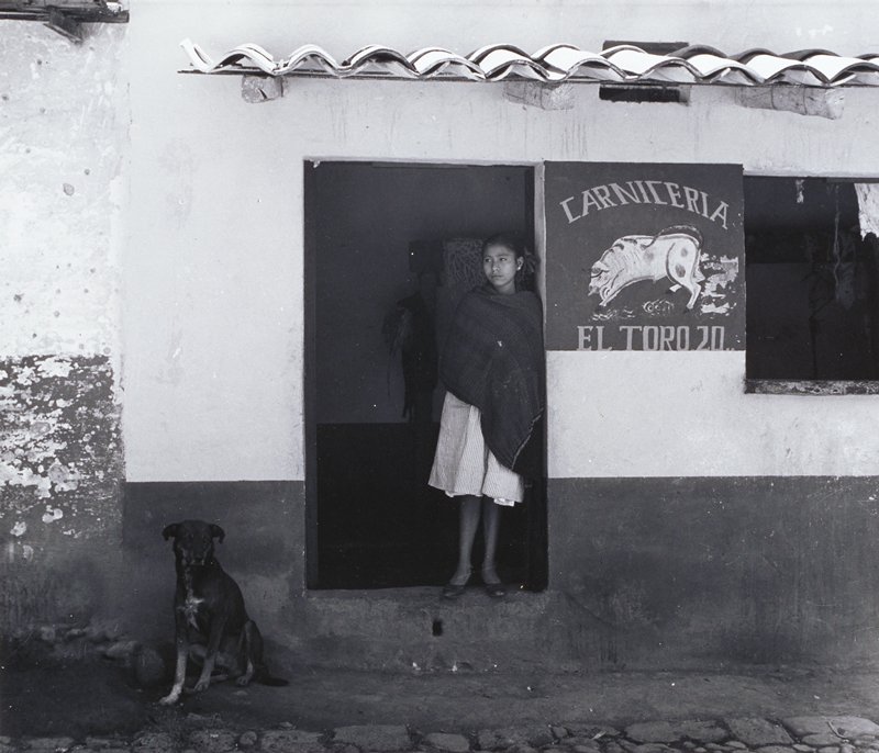 El Perro Veinte, Manuel Álvarez Bravo, 1958