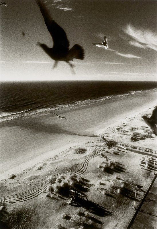 Untitled, Jane Tuckerman, 1980