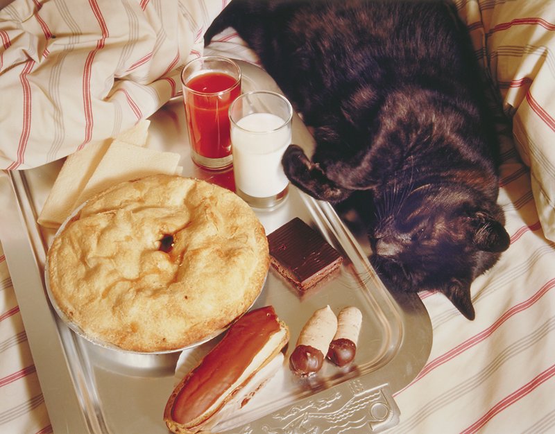 Tigger and Apple Pie, Jo Ann Callis, 1980