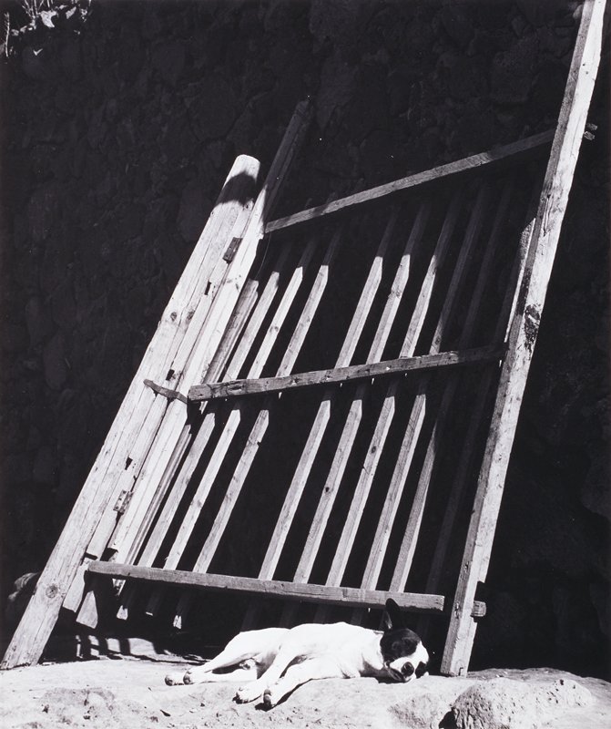 Sleeping Dogs Bark, Manuel Álvarez Bravo, 1966