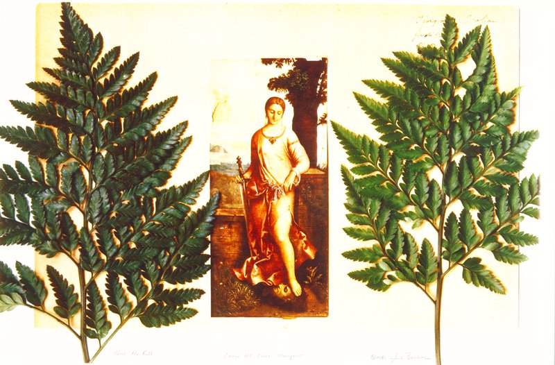 After the Fall, Jack Becker, 1981