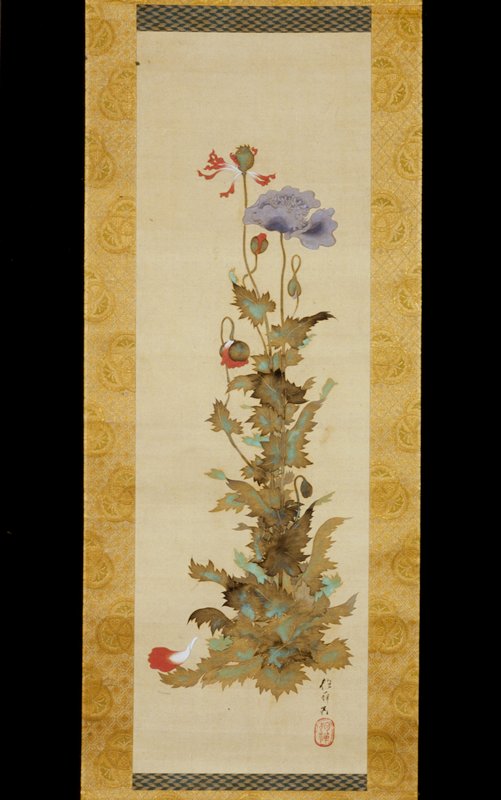 Poppies, Sakai Hōitsu, early 19th century