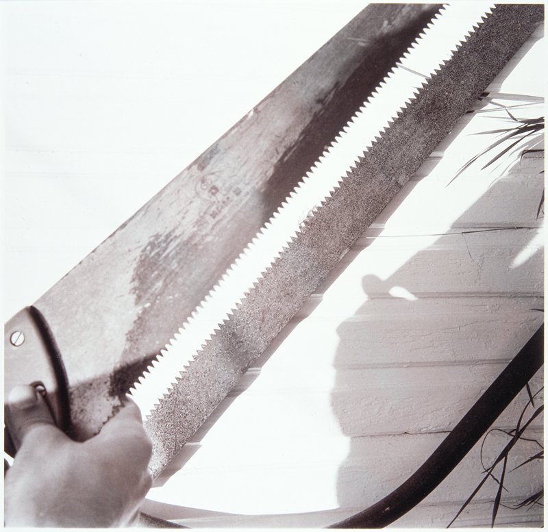 Saw, Dag Alveng, 1981