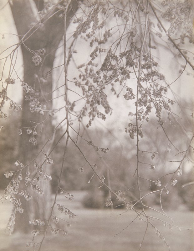 The First Touch of Spring, Clarence K. Bros, 1934
