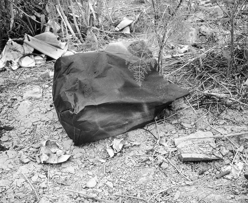 Untitled, Lewis Baltz, 1985