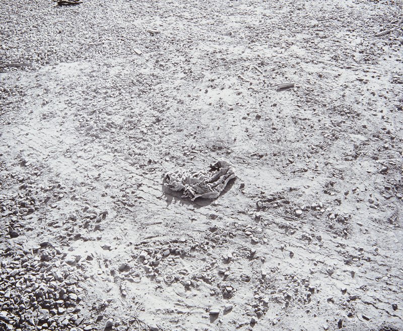 Untitled, Lewis Baltz, 1985