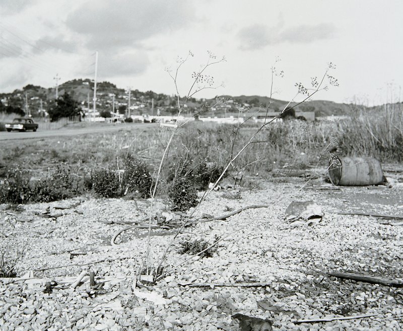 Untitled, Lewis Baltz, 1985
