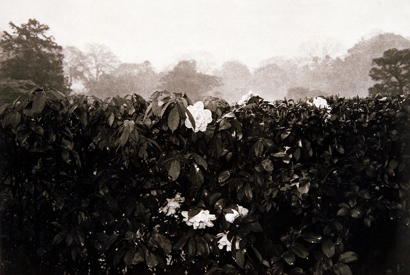 Kyoto, Lee Friedlander, 1977