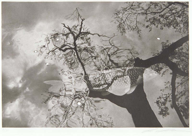 Kyoto, Lee Friedlander, 1981