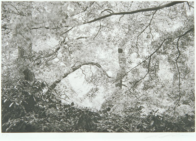 Tokyo, Lee Friedlander, 1981