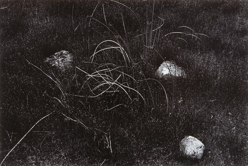 Untitled (Wisconsin), Harry Callahan, 1958