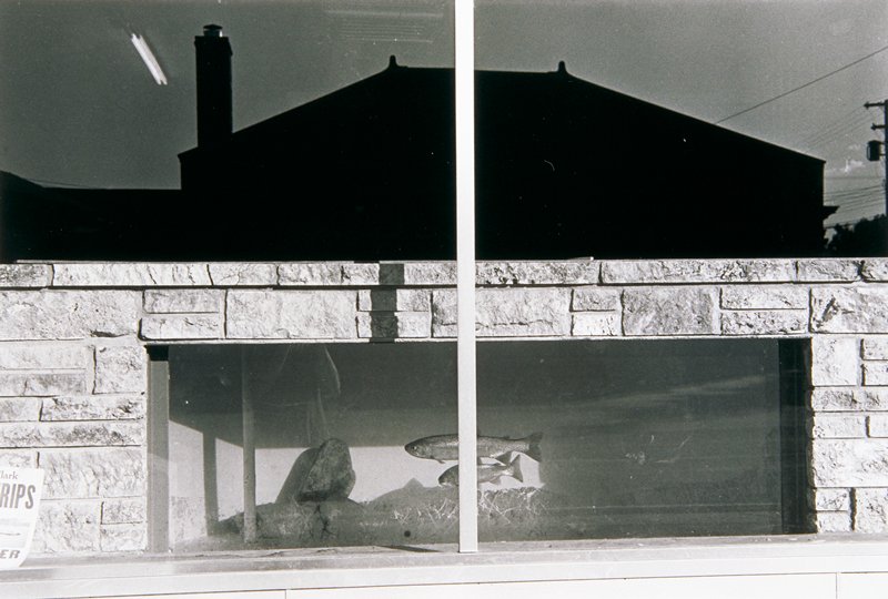 Livingston, Montana, Lee Friedlander, 1970