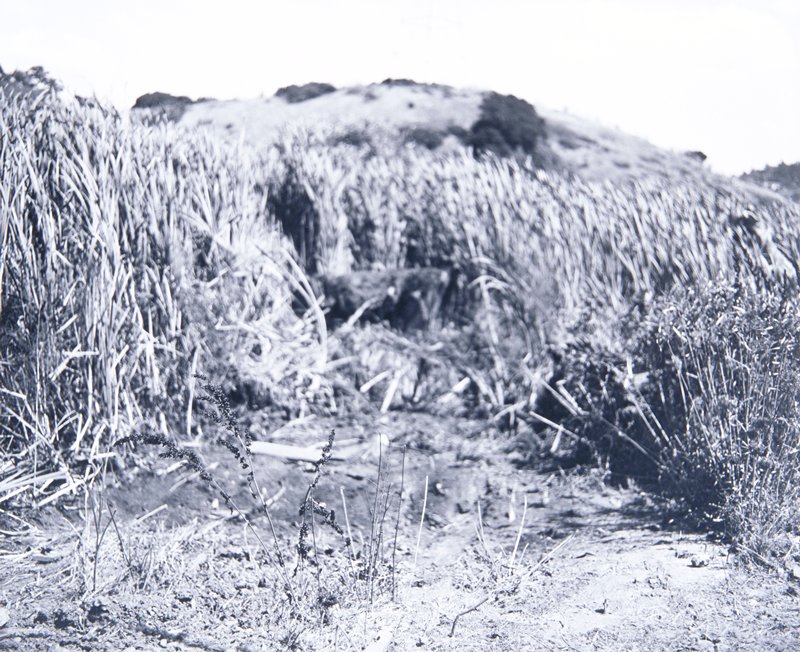 Untitled, Lewis Baltz, 1985