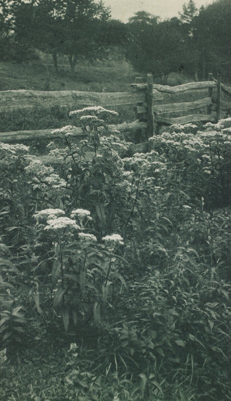 By The Wayside, Rudolf Eickemeyer, Jr., 19th century