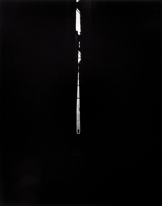 Bob Fine, Harry Callahan, c. 1952