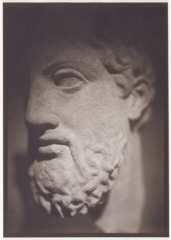 Head of a Bearded Man, John Barnier, 1989