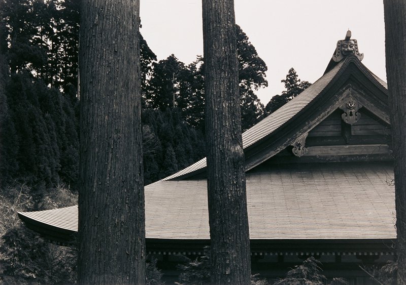 Hiei-San, Japan, Paul Caponigro, 1976